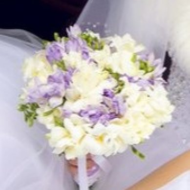 Фрезия А9407 - Цветочная компания АртФлора